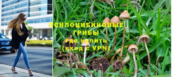 МДМА Карпинск