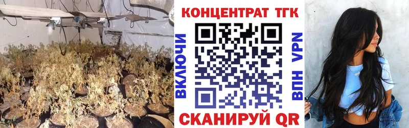 ТГК Wax  Купить закладки  Камызяк 