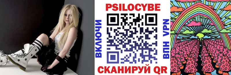 Псилоцибиновые грибы Psilocybine cubensis  Купить где  Камызяк 